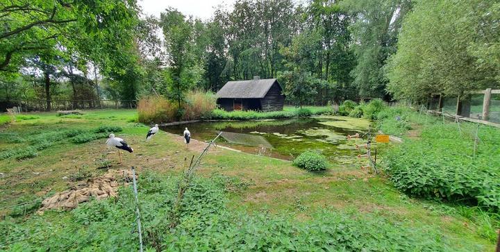 Waldgasthaus Tannenbusch